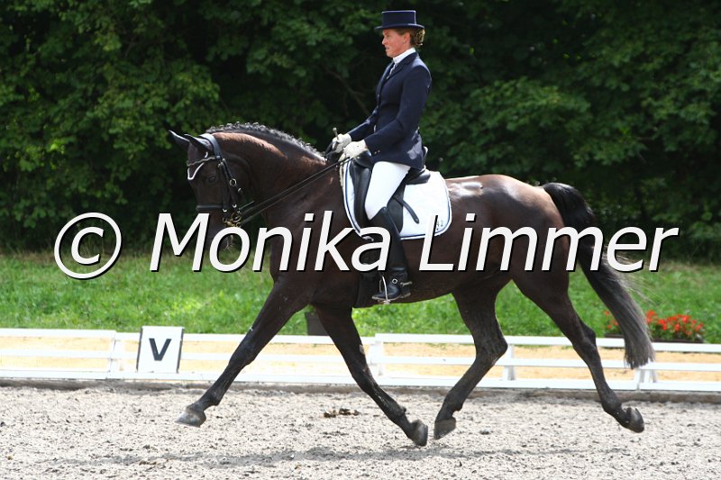 009M2982_Sympathicus KR_Dressur Mxx.JPG